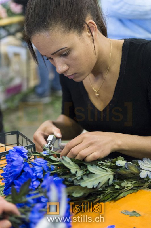 Fête des Narcisses 2015